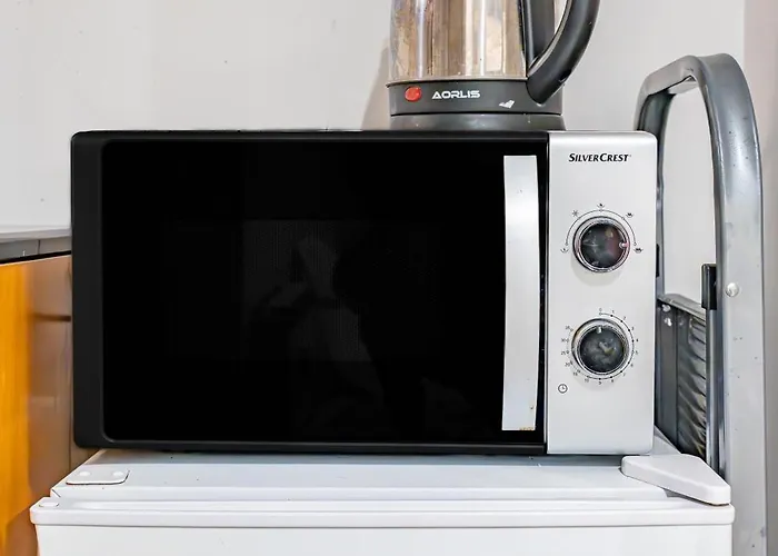 Pensionat Lion Renting Trastevere 3*