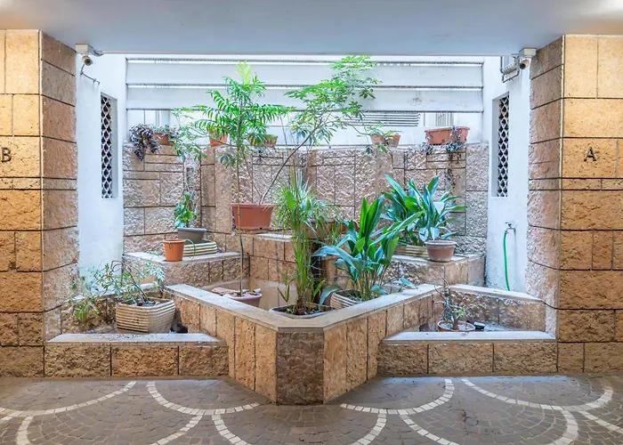 Lion Renting Trastevere Rom